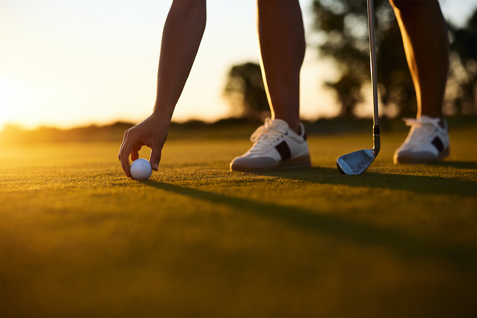 Golfer setting a ball on a tee at sunset, physical therapy for golfers in St. Louis